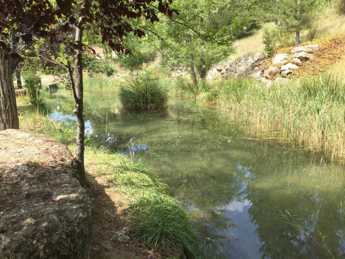 Saint-Martin-de-Brômes Mazet Tournesol Aux Portes Du Verdon מראה חיצוני תמונה